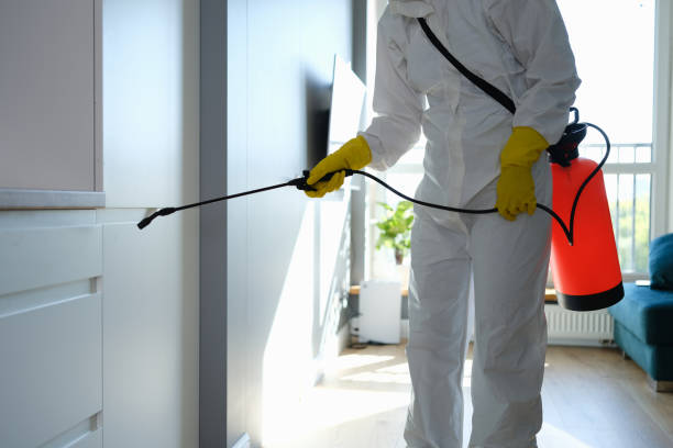 Trusted Abilene, TX Mold Remediation Experts